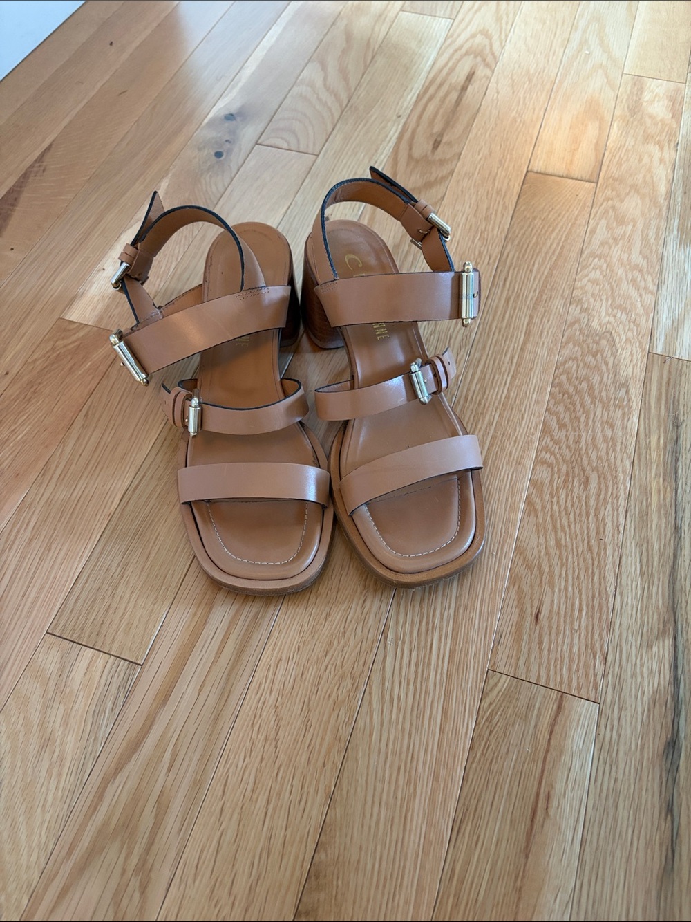VGUC La Canadienne Rosemarie leather sandals